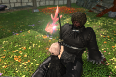 ffxiv_20201010_183110_350