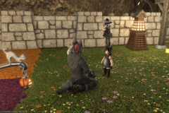 ffxiv_20201101_005418_384